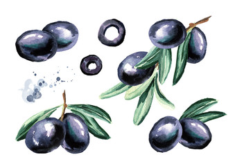 Black sweet olives set, isolated on white background. Watercolor hand drawn illustration