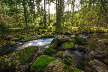Some stream in the Black Forest, Germany, 2018, Schwarzwald