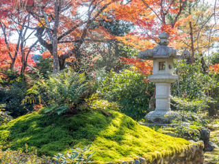 Lantern in Japanese garden in autumn