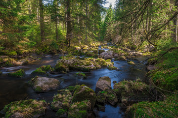 Fototapeta na wymiar Some stream in the Black Forest, Germany, 2018, Schwarzwald