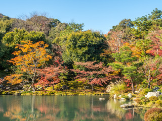 Colorful leaves with reflection in pond