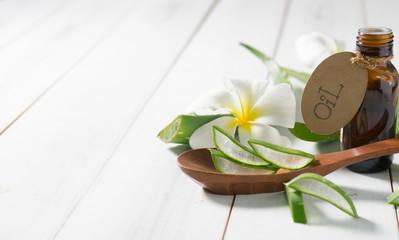 Fototapeta premium aloe vera