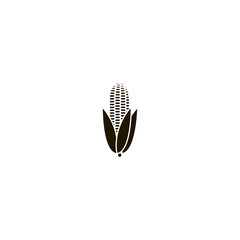 corn icon. sign design