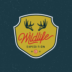 Naklejka na ściany i meble vintage wilderness logo. hand drawn retro styled outdoor adventure emblem. vector illustration