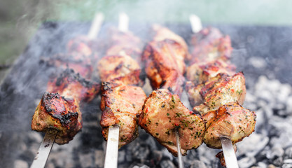 Barbecue or shish kebab is fried on the grill.