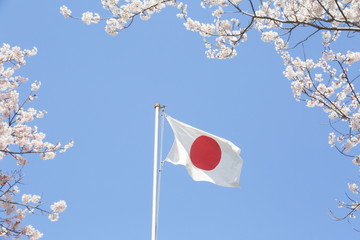 Japan Flag and cherry blossoms