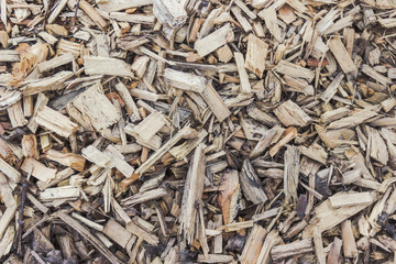 Background texture - bark mulch