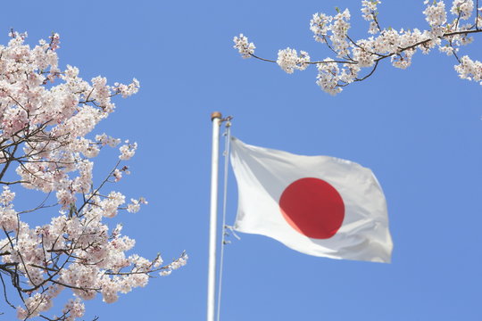 Japan Flag and cherry blossoms