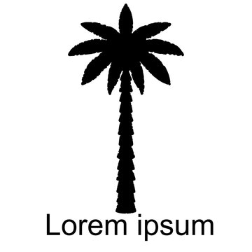Coconut palm tree icon, logo