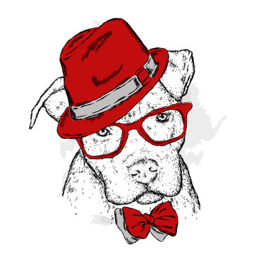 Pit bull in a hat and tie. Dog vector. Vector illustration for greeting card, poster, or print on clothes.
