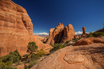Fototapeta premium Delicate arch in Arches National Park in Utah, USA