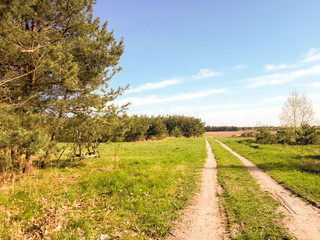 Fototapeta na wymiar field road, beautiful landscape in countryside