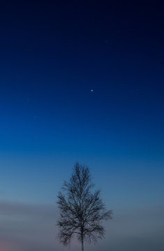 夜明け間際の星空 / 北海道美瑛町のイメージ
