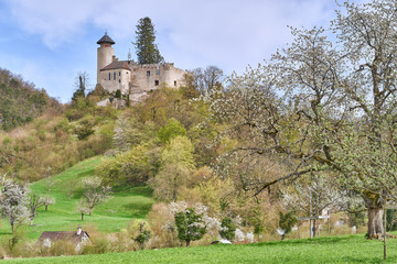Fototapeta na wymiar Arlesheim mit Schloss Birseck