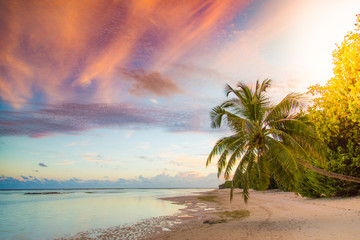 Naklejka premium Piękne tło zachód słońca Malediwy. Niebo i chmury palmy w przesianym słońcu