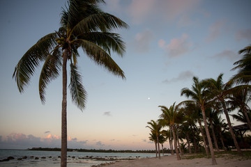 Fototapeta na wymiar Sunrise on beach in Cancun