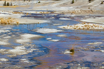 Norris geyser basin