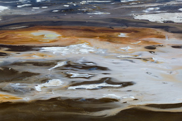Norris geyser basin