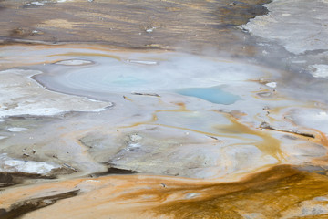 Norris geyser basin
