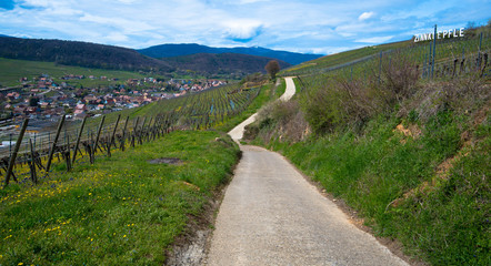 Wanderweg in Westhalten, Elsass