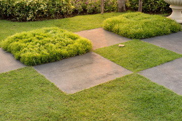Texture or pattern of paving walkway.