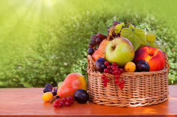 Fruit basket isolated .