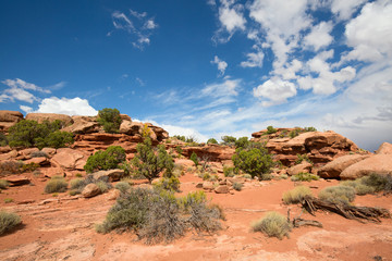 Canyonlands