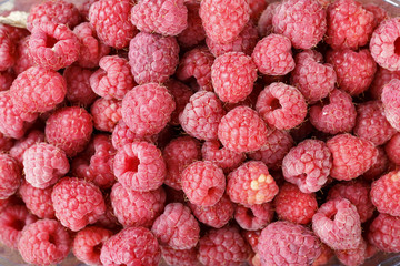 raw fresh raspberries