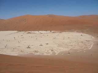 デッドフレイ 全景