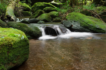 Beautiful waterfall landscape. Waterfall in forest.