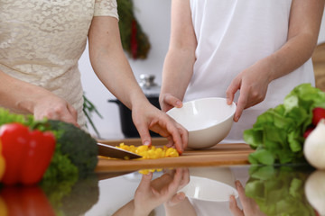 Closeup of human hands cooking in kitchen. Mother and daughter or two female cutting bell pepper for fresh salad. Healthy meal, vegetarian food and lifestyle concepts