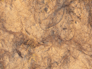 Seamless sand background