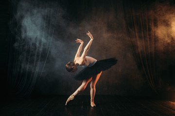 Naklejka premium Baleriny Elegance w akcji na scenie teatralnej