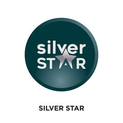 silver star logo isolated on white background for your web, mobile and app design