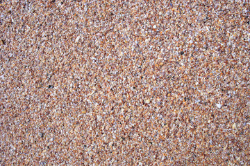 Seashells on the beach in Ao Nang, Thailand
