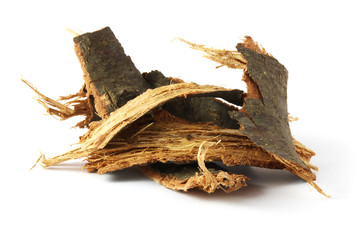 Dry oak bark isolated on white.