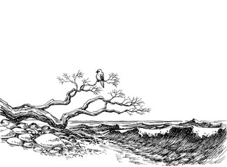 Sea shore vector. Wild beach, sea waves and a bird resting on a tree branch