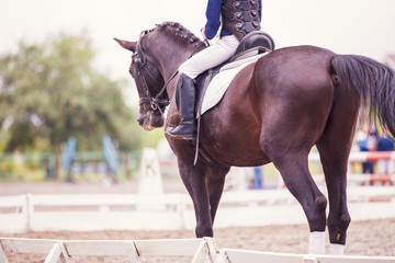 Obraz premium Young girl in safety or crash vest riding horse on dressage competition. Concept image of safe equestrian sport