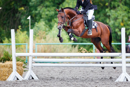 Young rider girl jumping on horse over obstacle on show jumping competition