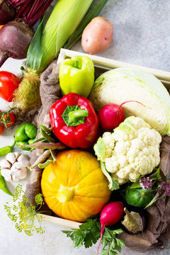 Fresh different vegetables on a gray stone or slate background. Food background. The concept of healthy eating. Copy space.