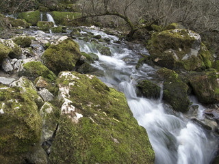 river with stones and moss
