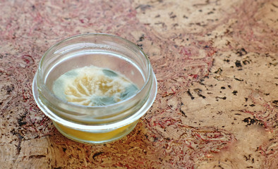 Mildew-covered sliced lemon in a transparent jar on the kitchen table.