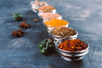Set of colorful spices   on a dark  background.