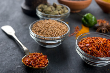 Set of colorful spices   on a dark  background.