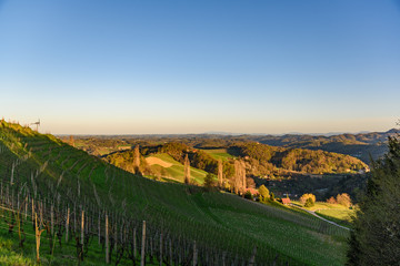 Naklejka premium View over the the vineyards an the foggy valleys of slovenia south Styria Sustria Libenitz