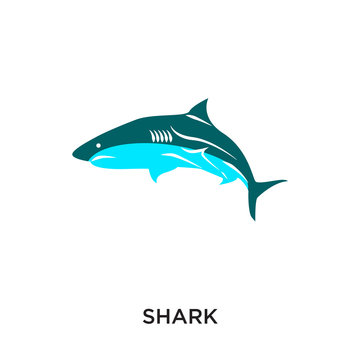 logo shark isolated on white background for your web, mobile and app design
