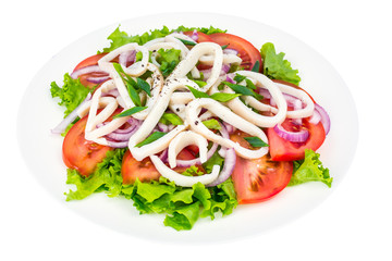 Squid rings with leaves of green salad and tomatoes