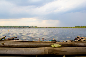 Obraz premium landscape of tourism swamp and sky.