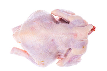 Chicken carcass isolated on white
