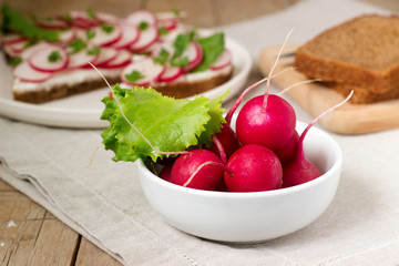 Radish and lettuce leaves on a background of sandwiches and slices of rye bread. Rustic style.
